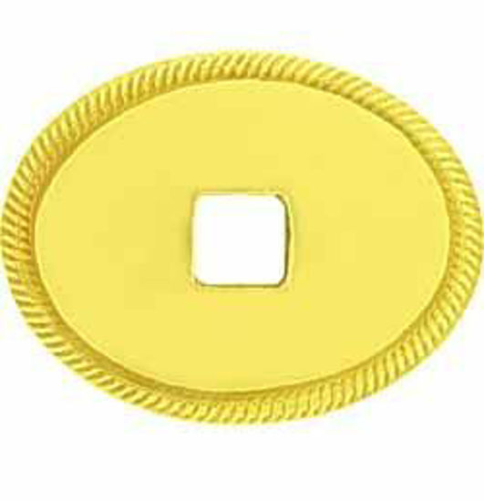 Picture of Backplate - Plain Oval Convex 